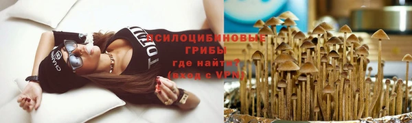 твердый Липки
