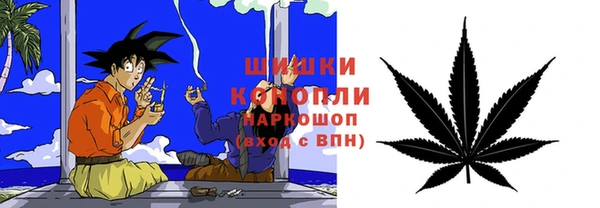 ГАЛЛЮЦИНОГЕННЫЕ ГРИБЫ Лихославль