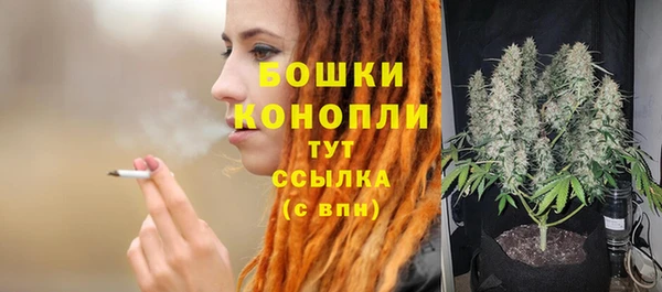 ГАЛЛЮЦИНОГЕННЫЕ ГРИБЫ Лихославль