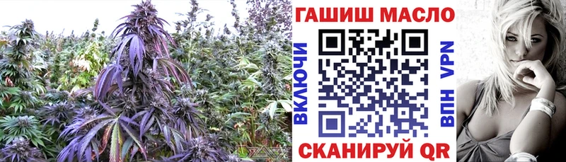 Дистиллят ТГК гашишное масло  купить  сайты  Шахунья 