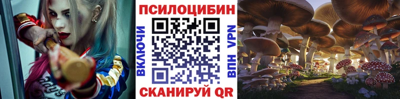 Псилоцибиновые грибы Cubensis  Шахунья 